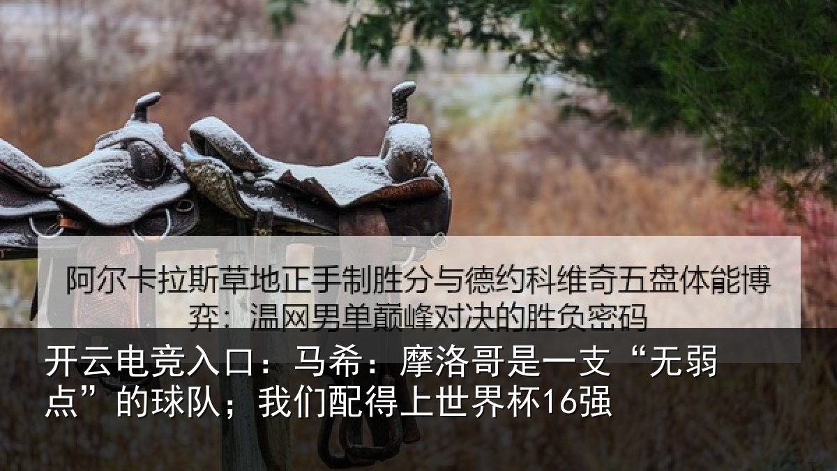 开云电竞入口:马希:摩洛哥是一支“无弱点”的球队;我们配得上世界杯16强