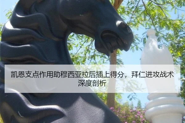 kai-en-zhi-dian-zuo-yong-zhu-mu-xi-ya-la-hou-cha-shang-de-fen-bai-ren-jin-gong-zhan-shu-shen-du-pou-xi-2-897.jpg