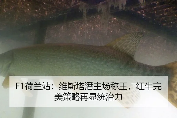 he-lan-zhan-wei-si-ta-pan-zhu-chang-cheng-wang-hong-niu-wan-mei-ce-lve-zai-xian-tong-zhi-li-3-228.jpg