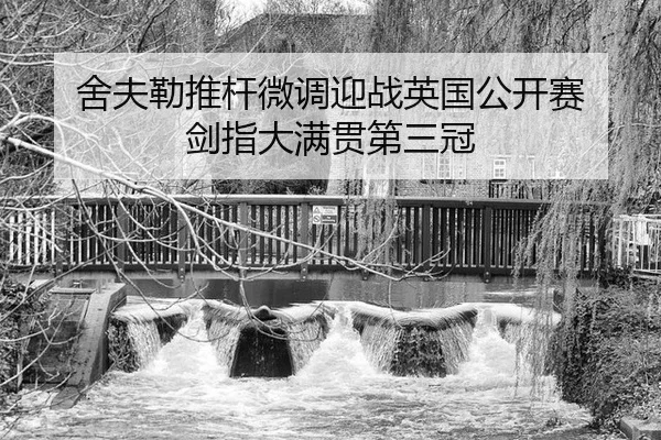 she-fu-lei-tui-gan-wei-diao-ying-zhan-ying-guo-gong-kai-sai-jian-zhi-da-man-guan-di-san-guan-2-899.jpg
