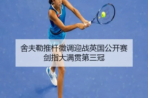 she-fu-lei-tui-gan-wei-diao-ying-zhan-ying-guo-gong-kai-sai-jian-zhi-da-man-guan-di-san-guan-3-373.jpg