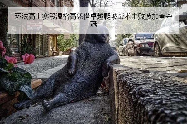 环法高山赛段温格高凭借卓越爬坡战术击败波加查夺冠