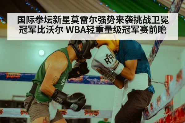 国际拳坛新星莫雷尔强势来袭挑战卫冕冠军比沃尔 WBA轻重量级冠军赛前瞻