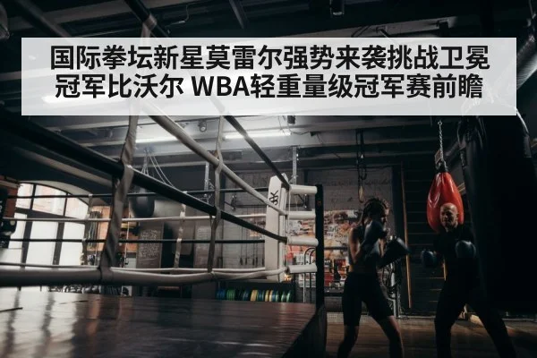 boxer training
